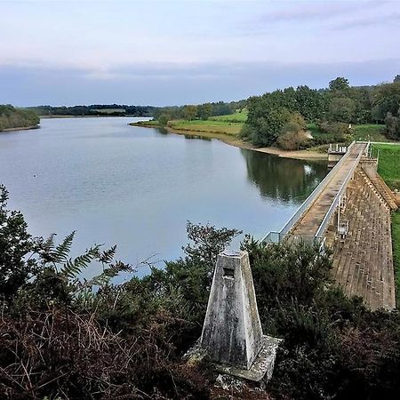 Charmant Appartement Entre Vitre Et Fougeres Chatillon-en-Vendelais Exteriör bild