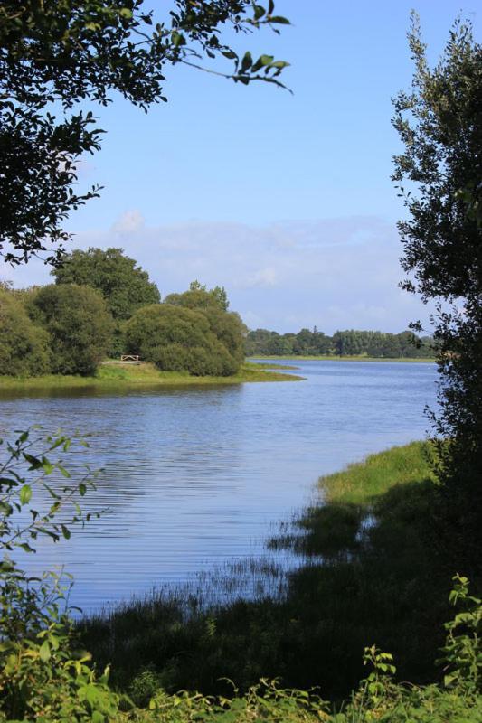 Charmant Appartement Entre Vitre Et Fougeres Chatillon-en-Vendelais Exteriör bild